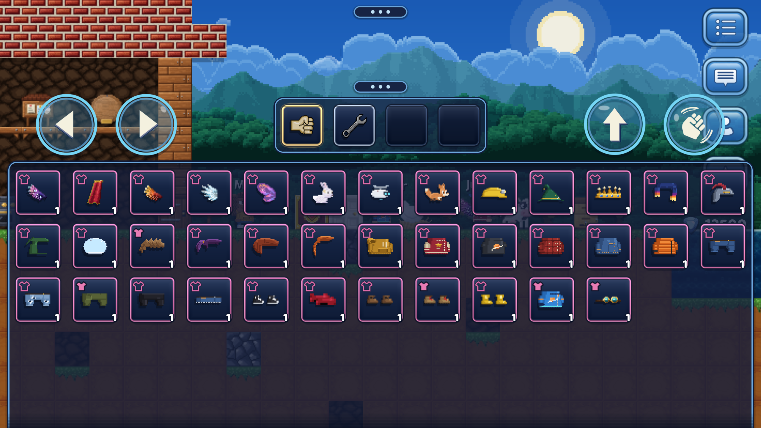 The inventory drawer open, full of wings, pets, hats, jackets, jeans and shoes